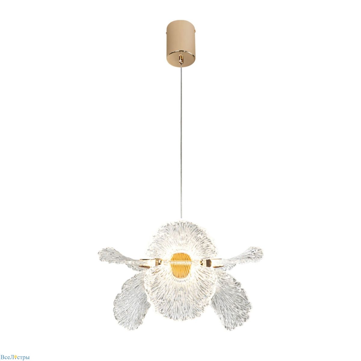 подвесная светильник modelight mdl.89092.350hc gd