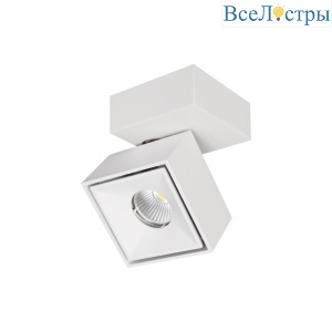 Спот Citilux CL558020N