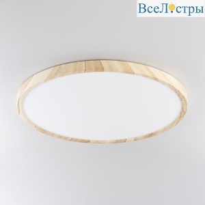Потолочный светильник Citilux Бейсик CL738322V