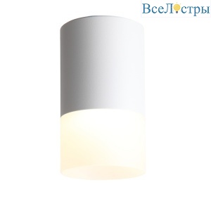 Накладной светильник ST Luce ST100.502.05