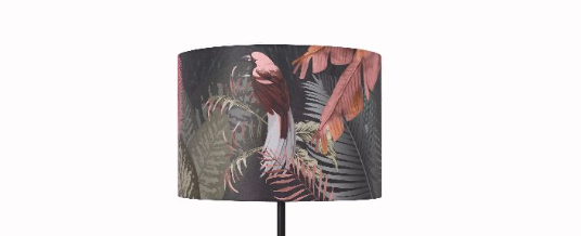Tropic Moderli