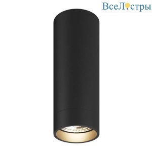 Накладной светильник Denkirs DK2051-BK