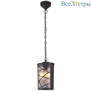 Уличный подвесной cветильник Elektrostandard Premier H GL 1017H 4690389115219