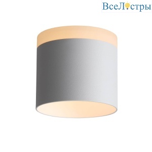 Накладной светильник ST-Luce Panaggio ST102.502.12