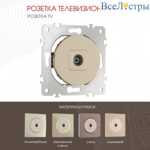 Розетка TV Arte Milano 202.43-1.shampan
