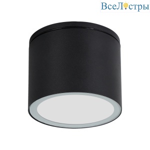 Уличный потолочный светильник Arte Lamp Piautos A1913PF-1BK