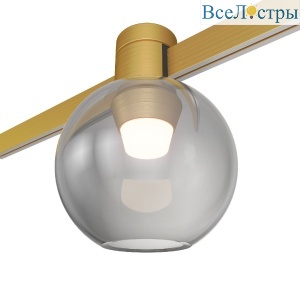 Трековый магнитный светильник ST Luce Farm ST819.246.03