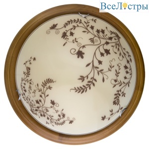 Настенно-потолочный светодиодный светильник Toplight Irene TL9630Y-00OA