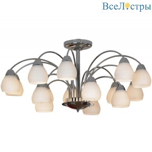 Потолочная люстра Lussole Apiro LSF-2403-15