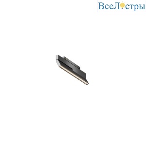 Трековый магнитный светильник Maytoni Technical Points Ro tExility X TR242-2-12W4K-B