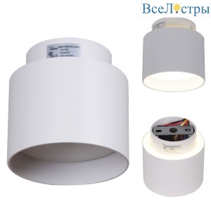 Накладной светильник Reluce 53006-9.5-001IL GX53+LED3W WT