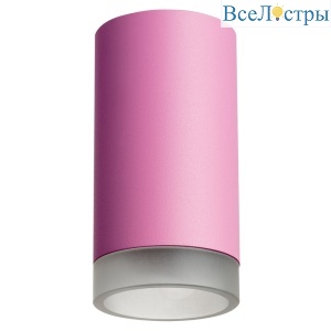 Накладной светильник Lightstar Rullo R43230 (214432+202430)