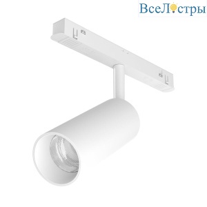 Трековый светодиодный светильник Maytoni Technical Focus LED TR032-2-12W3K-S-W