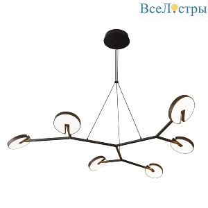 Подвесная люстра Favourite Paritet 4401-6P