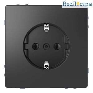Розетка Schneider Electric Merten D-Life 16A с/з без шторок MTN2301-6034