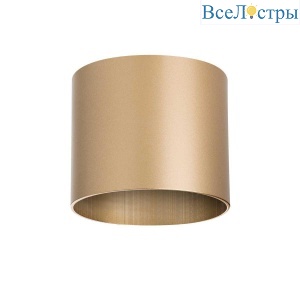 Потолочный светильник Lightstar Rullo 213490