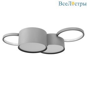 Потолочный светодиодный светильник Loft IT Pin 10317/4 Grey
