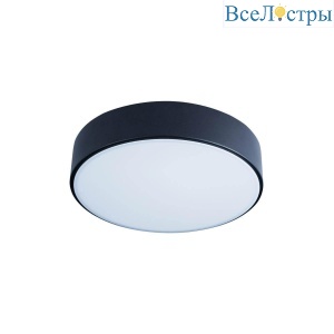 Потолочный светодиодный светильник Loft IT Axel 10002/12 black