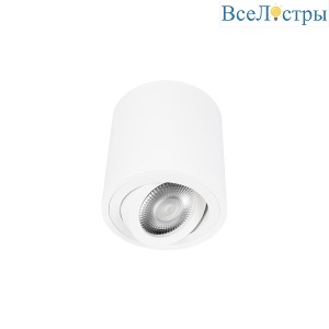 Накладной светильник Loft IT Unit 10340/B White