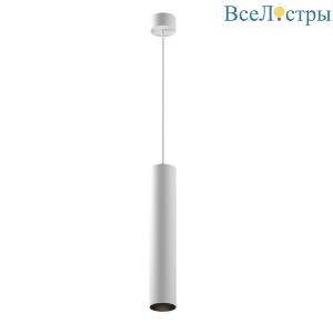 Подвесной светильник Maytoni Technical Artisan P082PL-GU10-W