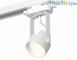 Трековый однофазный светильник Ambrella Light Track System XT6601001 (C6601, N6101)
