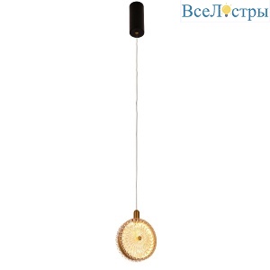 Подвесной светильник Favourite Slik 4488-1P