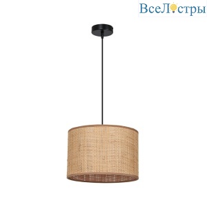 Подвесной светильник Arte Lamp Straw A7090SP-1BK