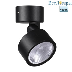 Уличный потолочный светильник Novotech Street Focus 359589