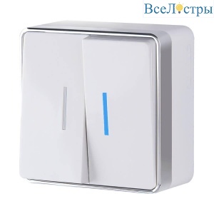 Выключатель двухклавишный с подсветкой Werkel Gallant белый W5020101 4690389164170