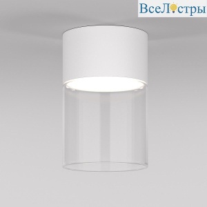Потолочный светодиодный светильник Elektrostandard Lumen 25047/LED 10W 4000К белый/прозрачный a064710