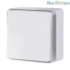 Выключатель одноклавишный проходной Werkel Gallant белый W5012001 4690389164057