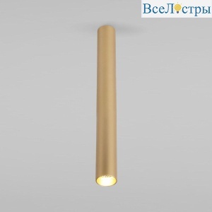 Потолочный светодиодный светильник Elektrostandard Pika 25030/Led золото a061120