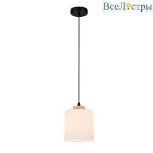 Подвесной светильник Escada Spirit 160002/B/1P Black ES0000016
