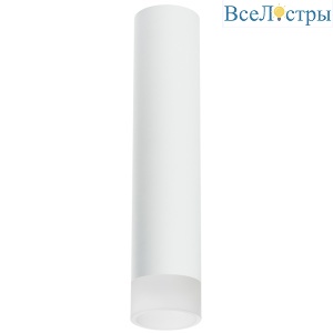 Накладной светильник Lightstar Rullo R49631 (214496+202431)