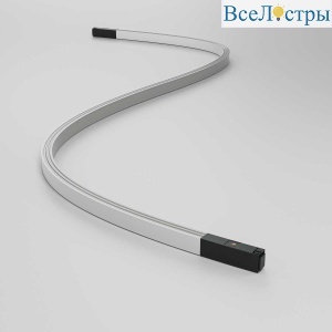 Трековый светильник Maytoni Technical TR180-1-12WTW-B