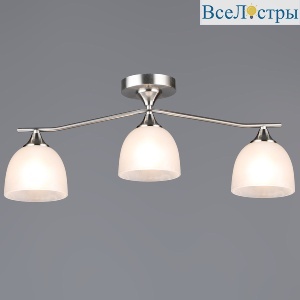 Потолочный светильник Reluce 06414-0.3-03 SL