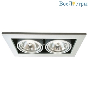 Встраиваемый светильник Arte Lamp Technika A5930PL-2SI