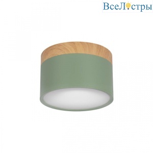 Накладной светодиодный светильник Loft IT Grape 10162 Green