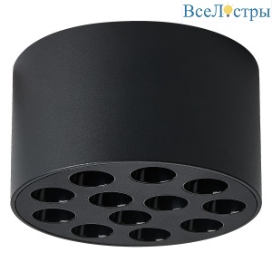 Потолочный светильник Lightstar Guarda 080947