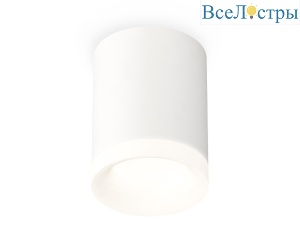 Потолочный светильник Ambrella Light Techno Spot XS7421024 (C7421, N7165)