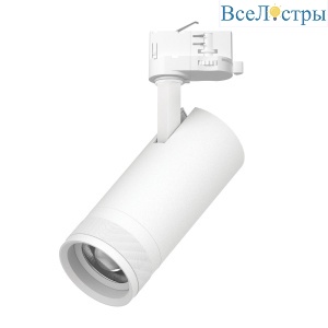 Трековый трехфазный светильник Quattro 20-55G с адаптером Lightstar Canno Pro C4206QT