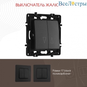 Выключатель жалюзи Arte Milano 217.38-2.black
