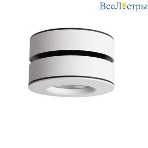 Накладной светильник Omnilux OML-101909-12