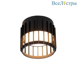 Накладной светильник Arte Lamp Atria A8031PL-1BK