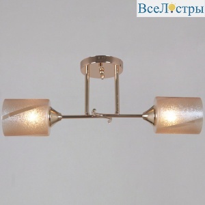 Потолочный светильник Reluce 51460-0.3-02 FG