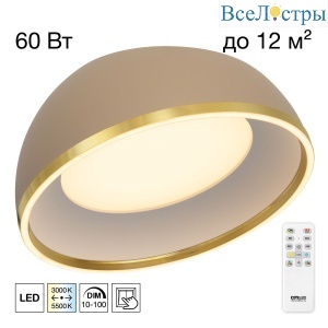 Потолочный светильник Citilux Floom CL736152