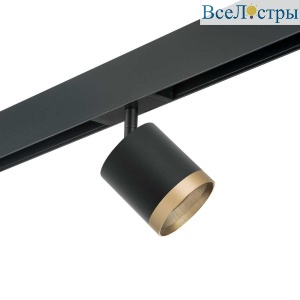 Трековый светильник Lightstar Rullo (213487+595087+203490) PRO348790