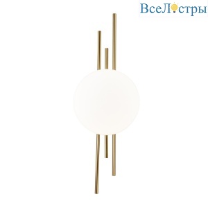 Настенный светодиодный светильник Indigo ASTRO 14007/1W Brass V000044L