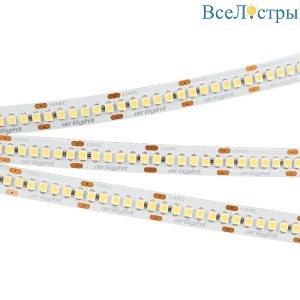 Светодиодная лента Arlight RT-A240-10mm 24V Cool 8K (19.2 W/m, IP20, 3528, 5m) (Arlight, 19.2 Вт/м, IP20) 018728(2)