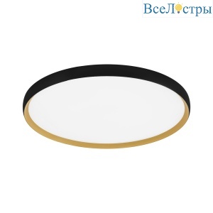 Потолочный светильник Evoluce Хельст SLE1810-402-01